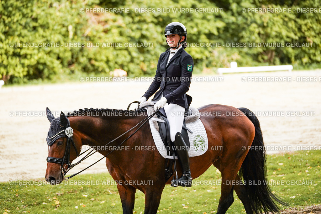 DSC02115 | Pferdegrafie