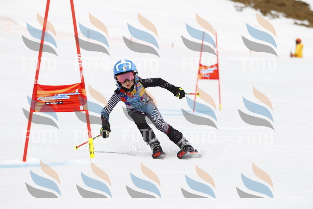 _U3G6198 | holidayphoto