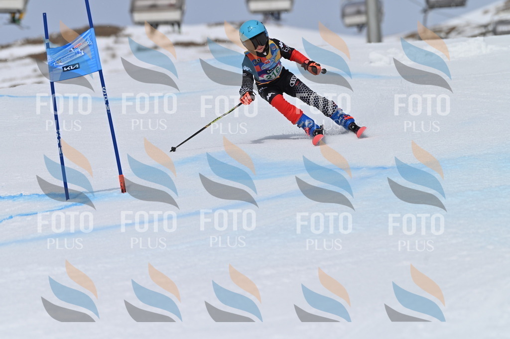 BGV_4203 | holidayphoto