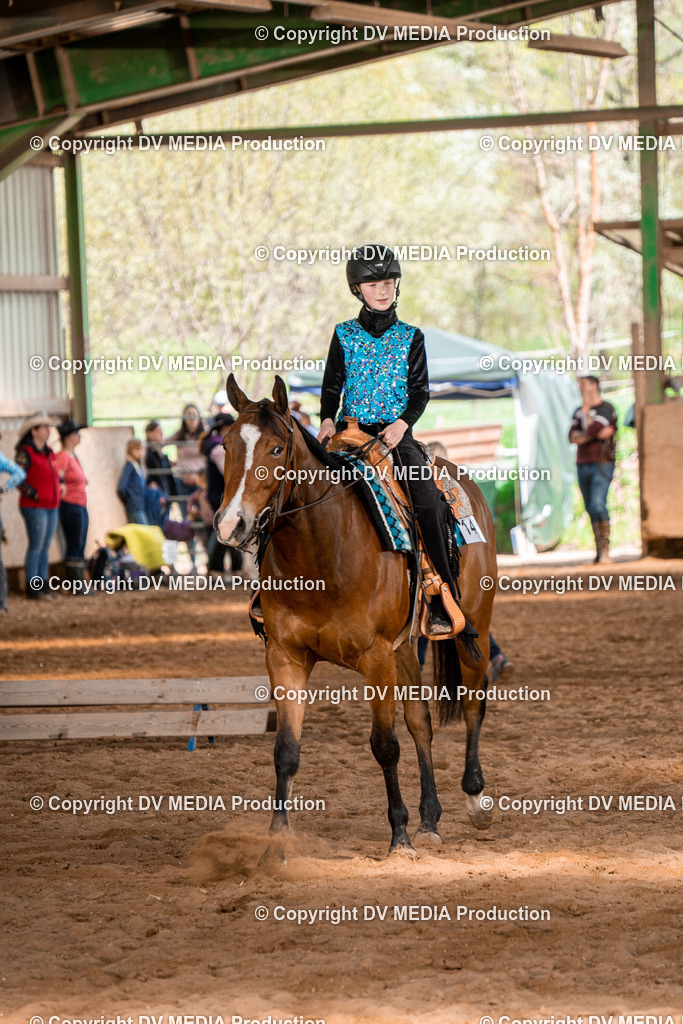 BAL02320 | dv-media-shop - Realisiert mit Pictrs.com