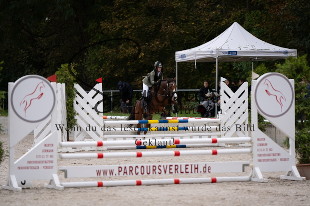 A7V09654 | Pferdefotograf