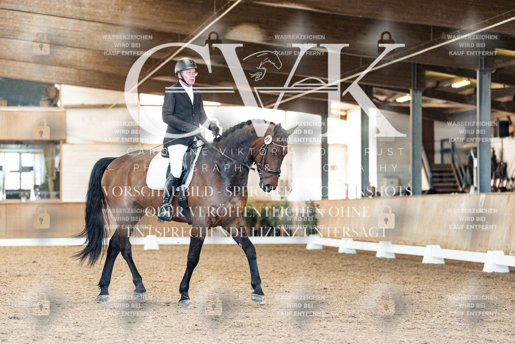 CK909051 | Turnierfotografie Pferdefotografie Trier Rheinland-Pfalz Pferdesport Reitsport Tierfotografie Sportfotografie Pferdevideo Pferdevideografie Equestrianvideography equestrianphotography  - Realisiert mit Pictrs.com