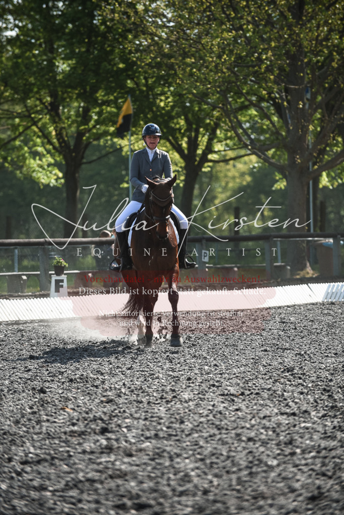 DSC_8945 | Pferde- und Turnierfotografie in Westsachsen. Pferdeportraits, Auftragszeichnungen und intuitive Kunst.