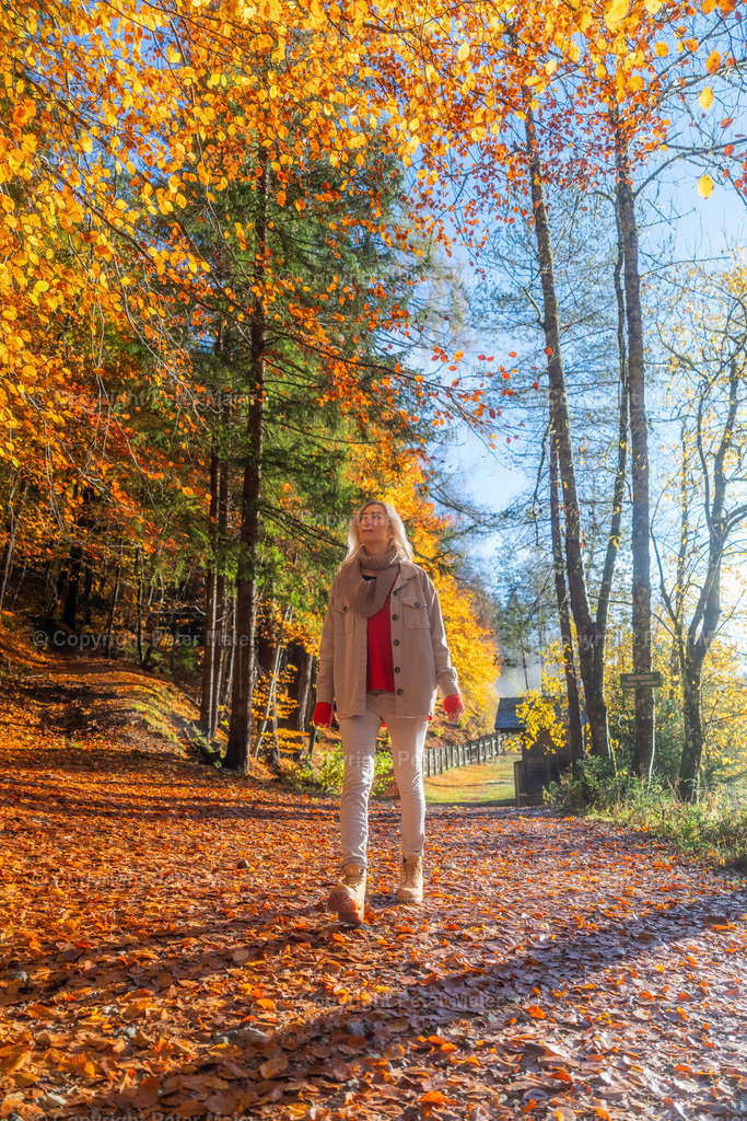 TristacherSee_Herbst_2023-407 | piet_flosse