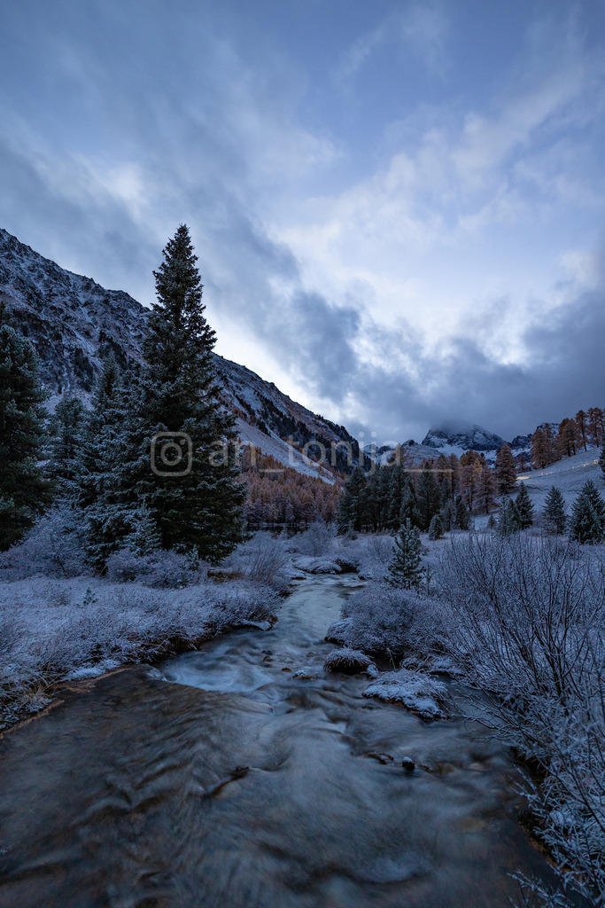 JB3A4558 | antonija-trupina - Realisiert mit Pictrs.com