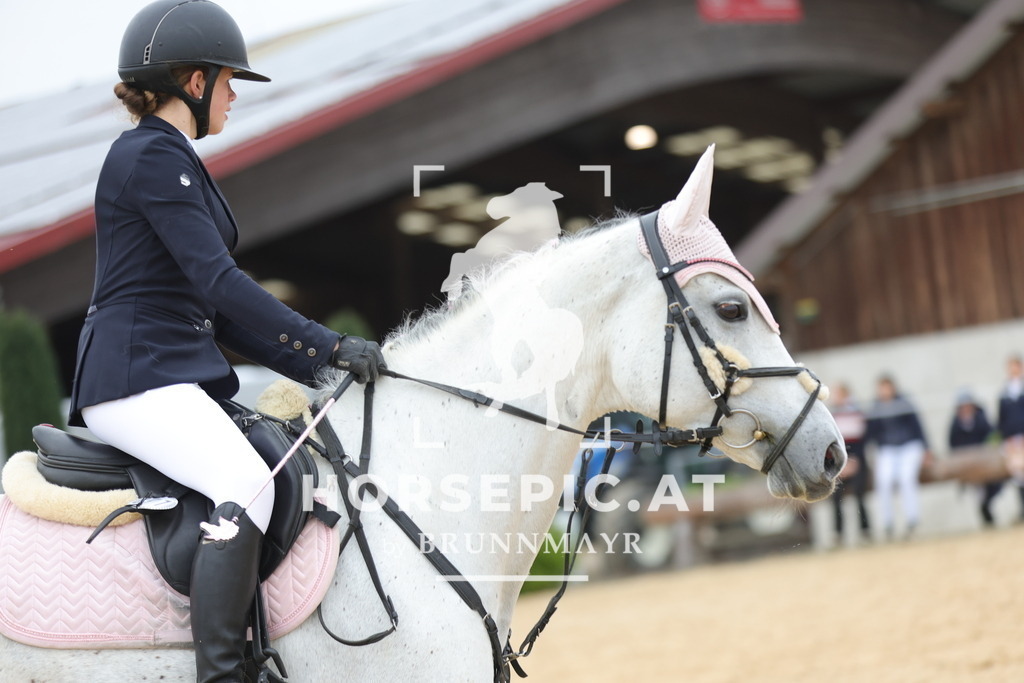 0P6A1275 | Willkommen bei Brunnmayr - Design & Fotografie – Ihrem Spezialisten für Reitturniere und Pferdeveranstaltungen in Oberösterreich, Salzburg und Bayern! Seit über 17 Jahren sind wir leidenschaftlich dabei.