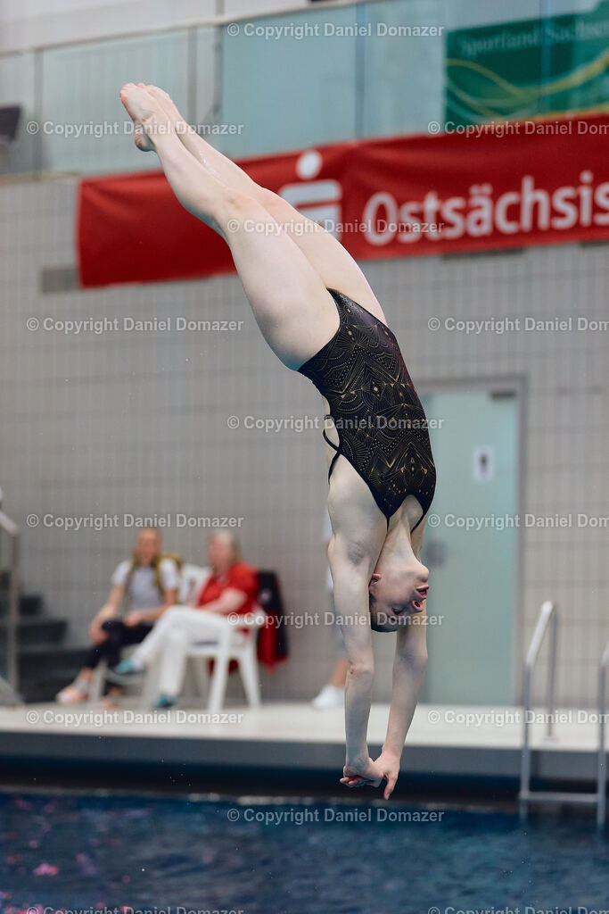 International Youth Diving Meet 2026 | Day 4 of 5 | International Youth Diving Meet 2026| Day 4 of 5 | 25.04.2026 | Youth diving competition featuring 1m and 3m springboard and platform at the Schwimmsportkomplex Freiberger Platz in Dresden.@ Domazer Photography - Realisiert mit Pictrs.com