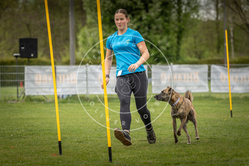 Pfotenfotografie_DV3A1837 | Hundefotografie, Tierfotograf, Pfotenfotografie, Fotoshooting Hund, Hunde Portrait, Hundesport, Hundeportraits, Heideshooting, Hunde, Sportfotograf, Hundefotograf, Turnierhundsport, THS,  - Realisiert mit Pictrs.com