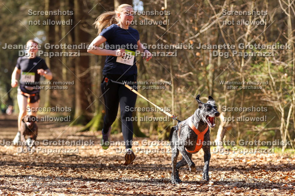 Dog Paparazzi - VCC26-1185 | Dog Paparazzi Jeanette Grottendiek Fotografie & Videografie - Realisiert mit Pictrs.com