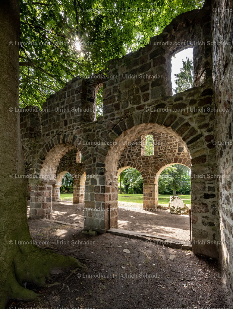 10049-12476 - Kirche Unser Lieben Frauen Loburg | Stockfoto und Bilderpool mit Bildmaterial aus Deutschland, dem Harz, Halberstadt, Quedlinburg, Wernigerode und weltweit. Qualitativ hochwertige und professionelle Fotos anschauen und kaufen. - Realisiert mit Pictrs.com