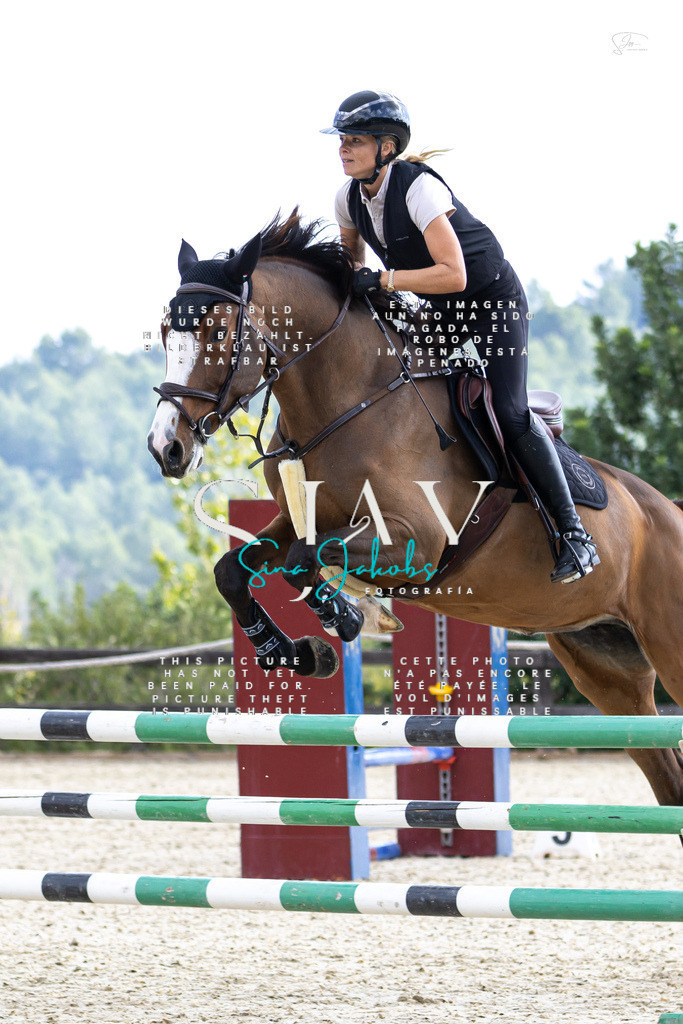 IMG_2892 | s-jay-photography - Realisiert mit Pictrs.com