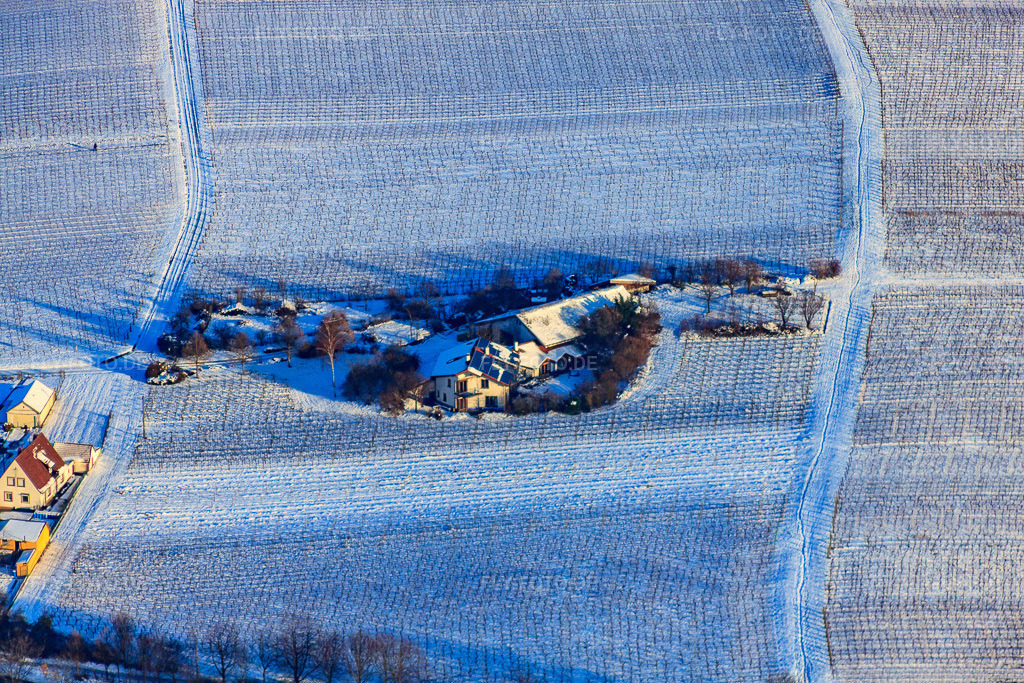Luftbild: Winzer mit Grasdach Im Winter im Schnee im Ortsteil Wollmesheim in Landau im Bundesland Rheinland-Pfalz in Deutschland. Foto: IMG_36340.jpg vom 03.01.2011 durch Werner Riehm/FLY-FOTO.de