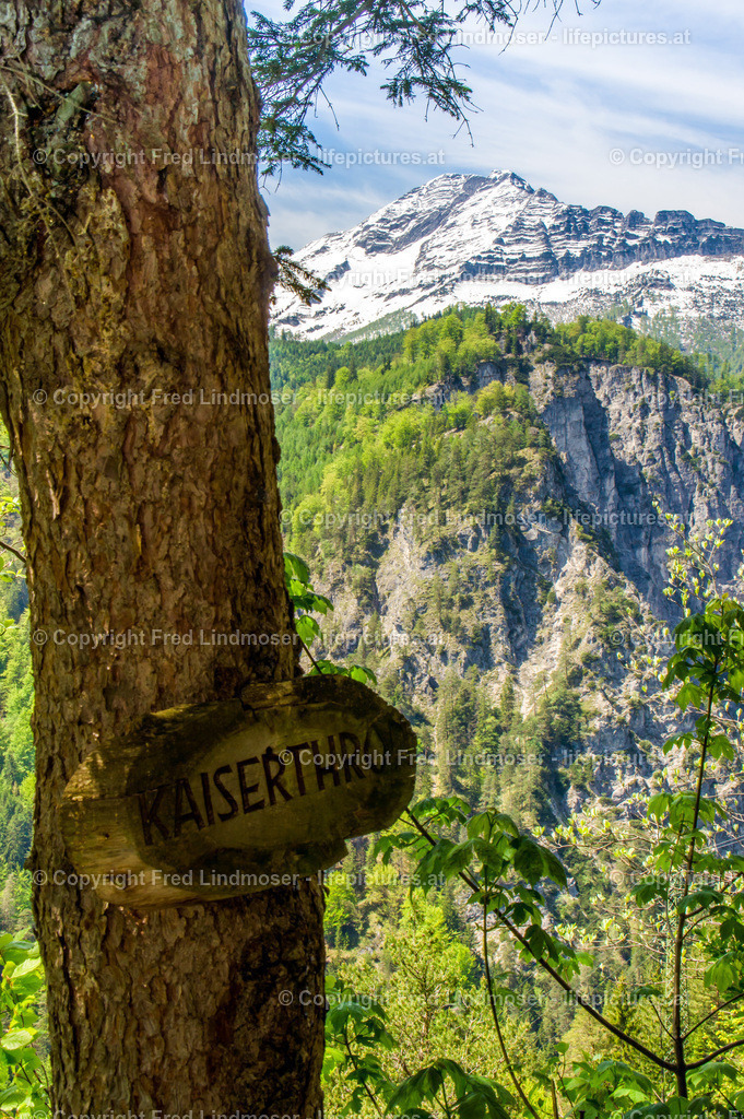 Otscher  (15) | Fotos und Fotoprodukte - Realisiert mit Pictrs.com