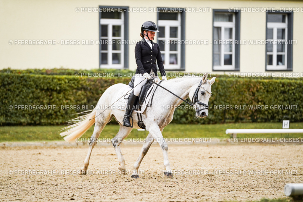 DSC07813 | Pferdegrafie