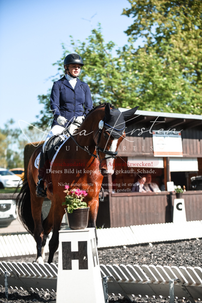 DSC_8534 | Pferde- und Turnierfotografie in Westsachsen. Pferdeportraits, Auftragszeichnungen und intuitive Kunst.