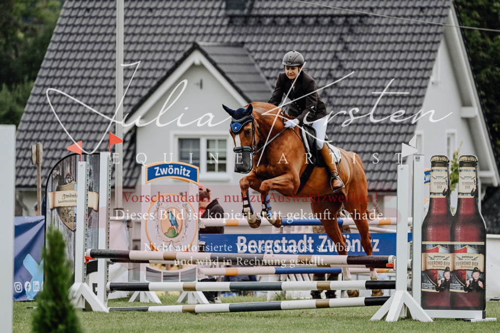 DSC_6972 | Pferde- und Turnierfotografie in Westsachsen. Pferdeportraits, Auftragszeichnungen und intuitive Kunst.