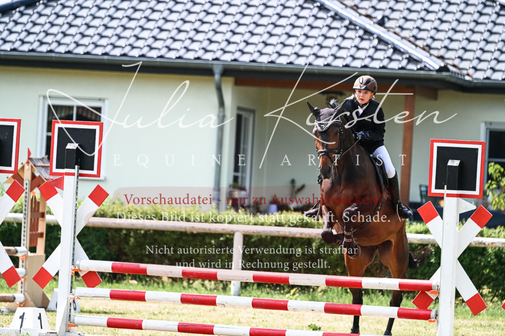 DSC_9252 | Pferde- und Turnierfotografie in Westsachsen. Pferdeportraits, Auftragszeichnungen und intuitive Kunst.