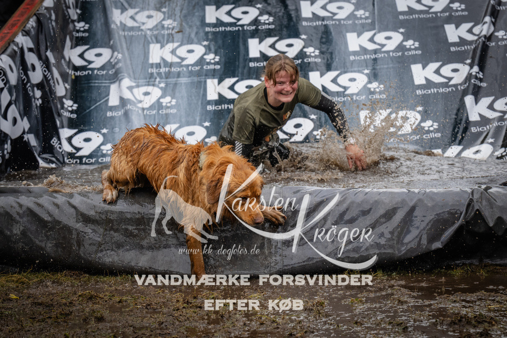 1254_ZZ90823 | kk-dogfotos