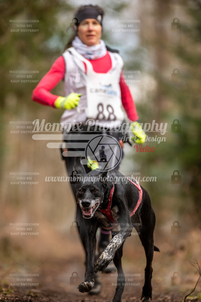 Reiat2023_SAM_CaniXRun_8km_W-1 | PayLife