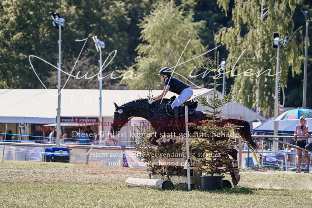 DSC_3580 | Pferde- und Turnierfotografie in Westsachsen. Pferdeportraits, Auftragszeichnungen und intuitive Kunst.