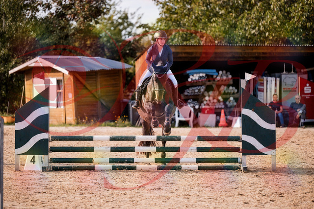 2026_10_03_Siefer-Hof_160119_Z81_82062272 | Professionelle Reitsport-, Turnier- und Eventfotografie von Robert Broda. Galerien mit ausgewählten und bearbeiteten Bildern direkt online ansehen und bestellen.