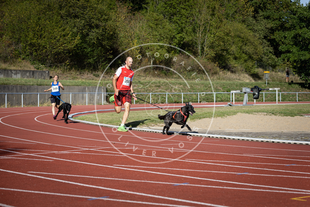Pfotenfotografie_DV3A9386 | Hundefotografie, Tierfotograf, Pfotenfotografie, Fotoshooting Hund, Hunde Portrait, Hundesport, Hundeportraits, Heideshooting, Hunde, Sportfotograf, Hundefotograf, Turnierhundsport, THS,  - Realisiert mit Pictrs.com