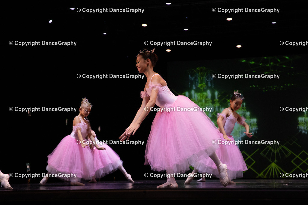 GPHY6736 | DanceGraphy - Realisiert mit Pictrs.com