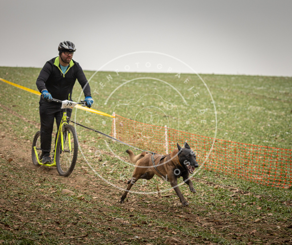 Pfotenfotografie_DV3A3903 | Hundefotografie, Tierfotograf, Pfotenfotografie, Fotoshooting Hund, Hunde Portrait, Hundesport, Hundeportraits, Heideshooting, Hunde, Sportfotograf, Hundefotograf, Turnierhundsport, THS,  - Realisiert mit Pictrs.com