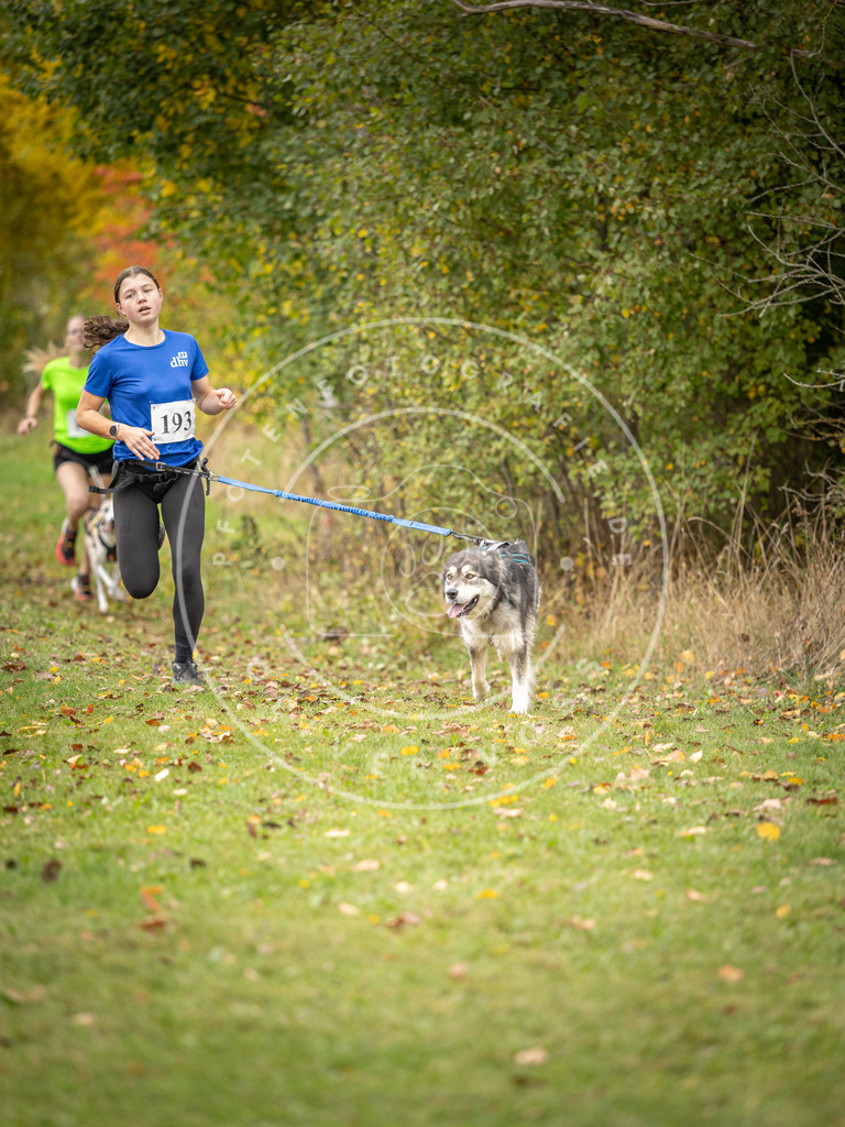 Pfotenfotografie_DV3A3889 | Hundefotografie, Tierfotograf, Pfotenfotografie, Fotoshooting Hund, Hunde Portrait, Hundesport, Hundeportraits, Heideshooting, Hunde, Sportfotograf, Hundefotograf, Turnierhundsport, THS,  - Realisiert mit Pictrs.com