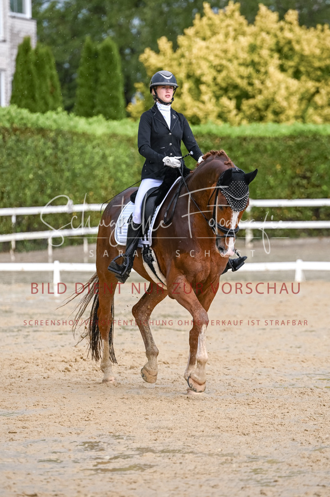Schugtsche-Aluta25-55.Dressurreiterprf.L1Tr-337 | Schugtsche Fotografie - Realisiert mit Pictrs.com