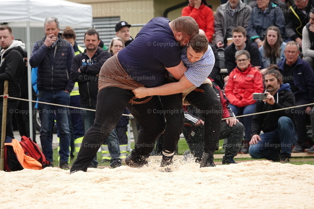 DSC03325 | Schwingen - Realisiert mit Pictrs.com