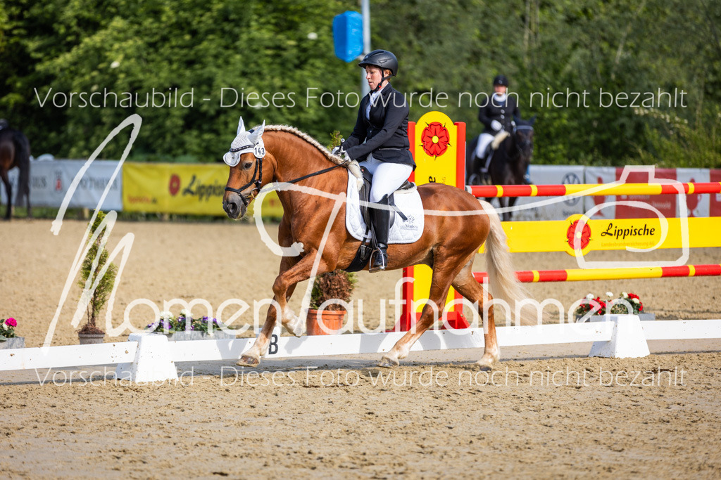 Donop24-A-Dre-143 | MomenTaufnahmen Pferdesportfotos