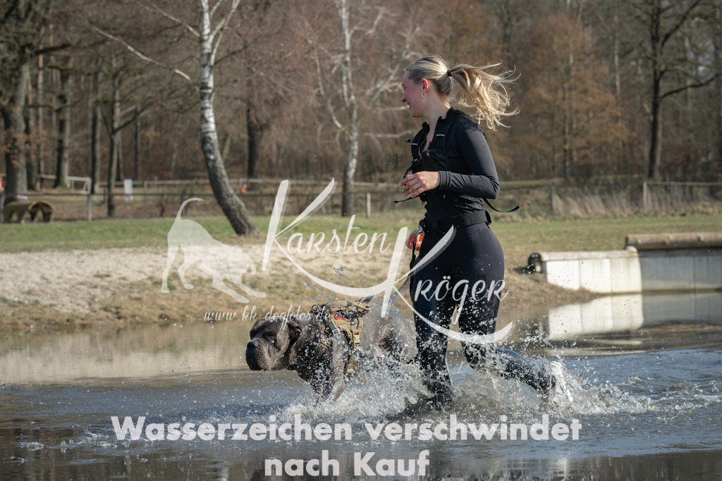 1309_ZZ94922 | kk-dogfotos