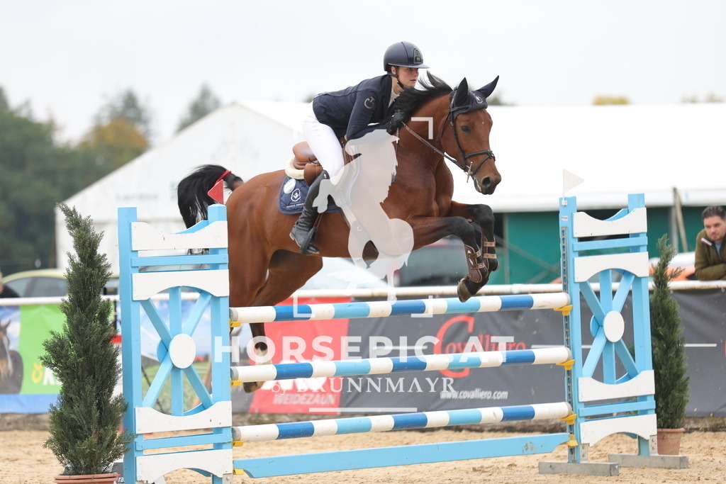 0P6A1716 | Willkommen bei Brunnmayr - Design & Fotografie – Ihrem Spezialisten für Reitturniere und Pferdeveranstaltungen in Oberösterreich, Salzburg und Bayern! Seit über 17 Jahren sind wir leidenschaftlich dabei.