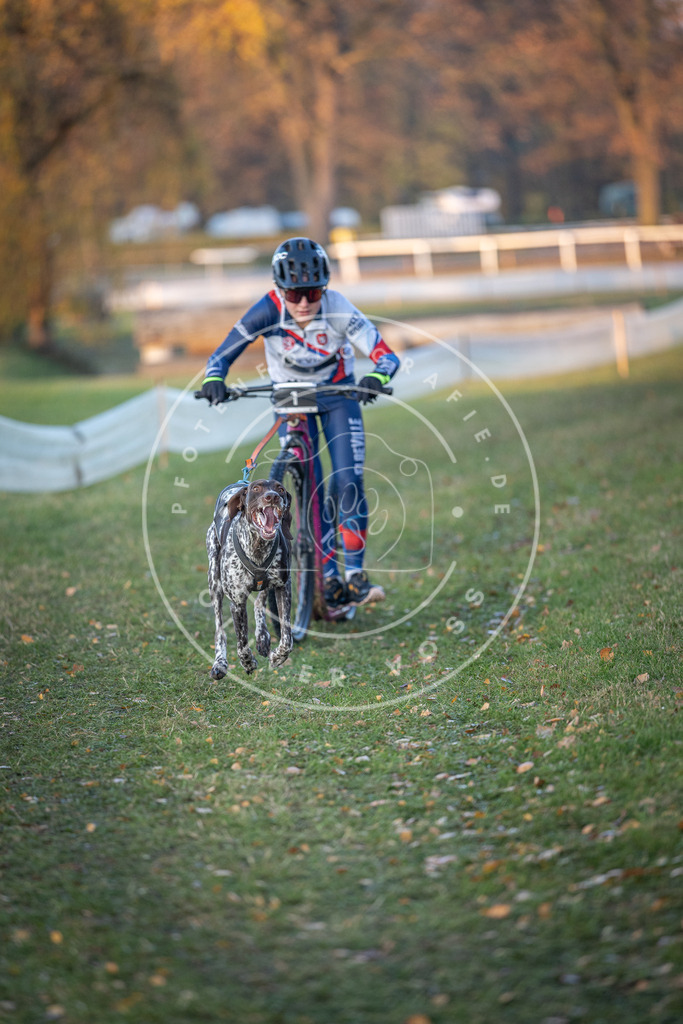 CaniXpix_DV3A9247 | Hundefotografie, Tierfotograf, Pfotenfotografie, Fotoshooting Hund, Hunde Portrait, Hundesport, Hundeportraits, Heideshooting, Hunde, Sportfotograf, Hundefotograf, Turnierhundsport, THS,  - Realisiert mit Pictrs.com