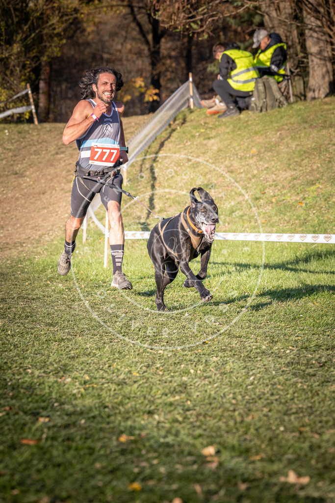 CaniXpix_0L8A0098 | Hundefotografie, Tierfotograf, Pfotenfotografie, Fotoshooting Hund, Hunde Portrait, Hundesport, Hundeportraits, Heideshooting, Hunde, Sportfotograf, Hundefotograf, Turnierhundsport, THS,  - Realisiert mit Pictrs.com