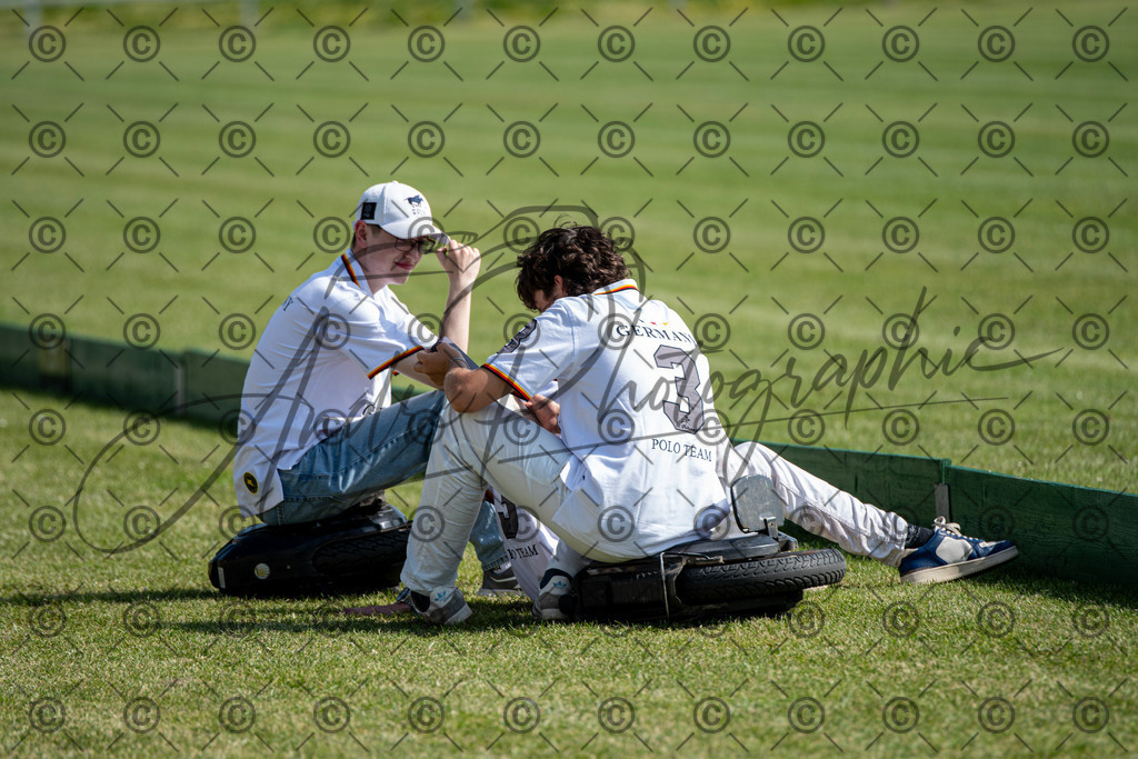 POL_2437 | andre_photographic