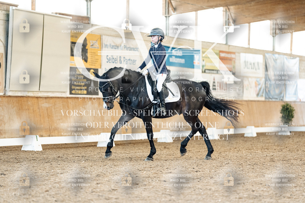 CK908255 | Turnierfotografie Pferdefotografie Trier Rheinland-Pfalz Pferdesport Reitsport Tierfotografie Sportfotografie Pferdevideo Pferdevideografie Equestrianvideography equestrianphotography  - Realized with Pictrs.com