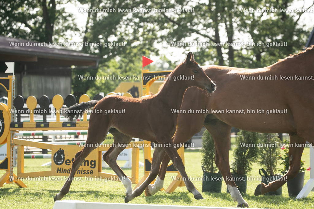 598A7056 | photographylinaismer - Realisiert mit Pictrs.com