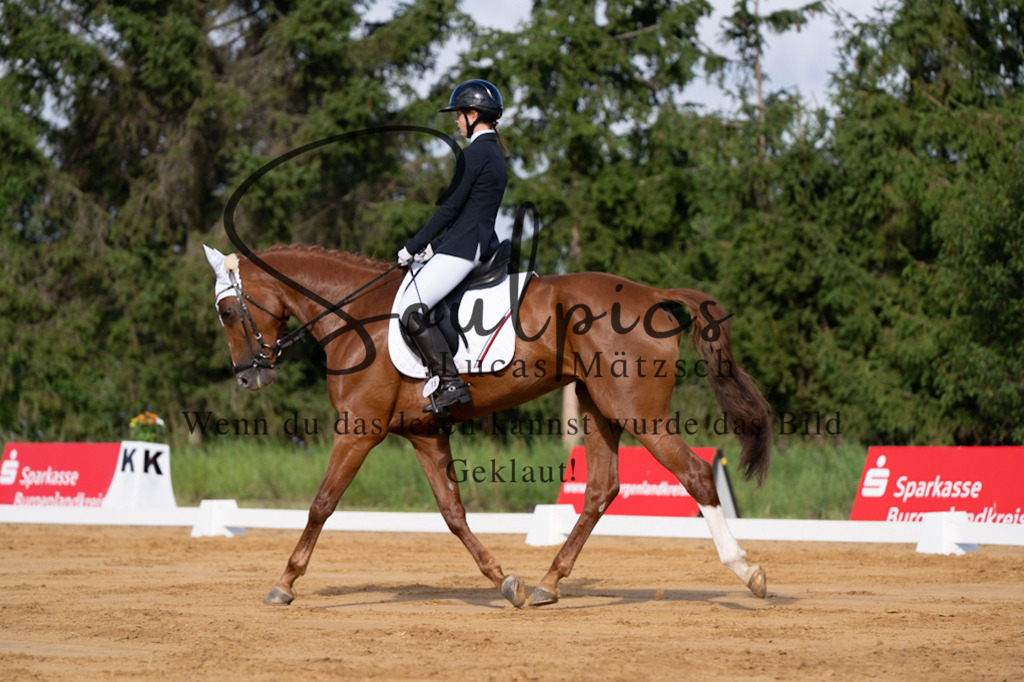 A7V05134 | Pferdefotograf