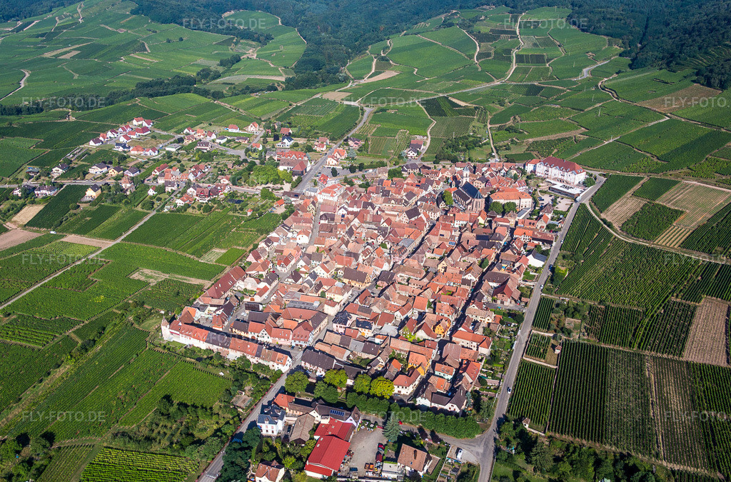 Luftbild: Weinbergen in Saint-Hippolyte im Bundesland Haut-Rhin in Frankreich. Foto: IMG_093309.jpg vom 16.08.2016 durch Werner Riehm/FLY-FOTO.de