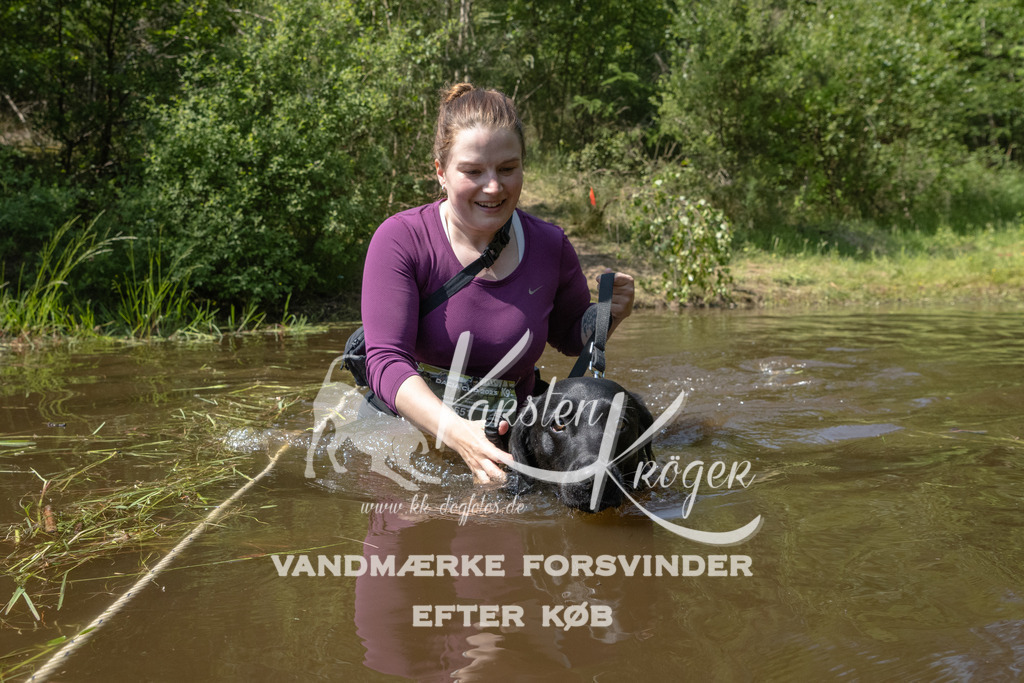 1419DKK990271 | kk-dogfotos