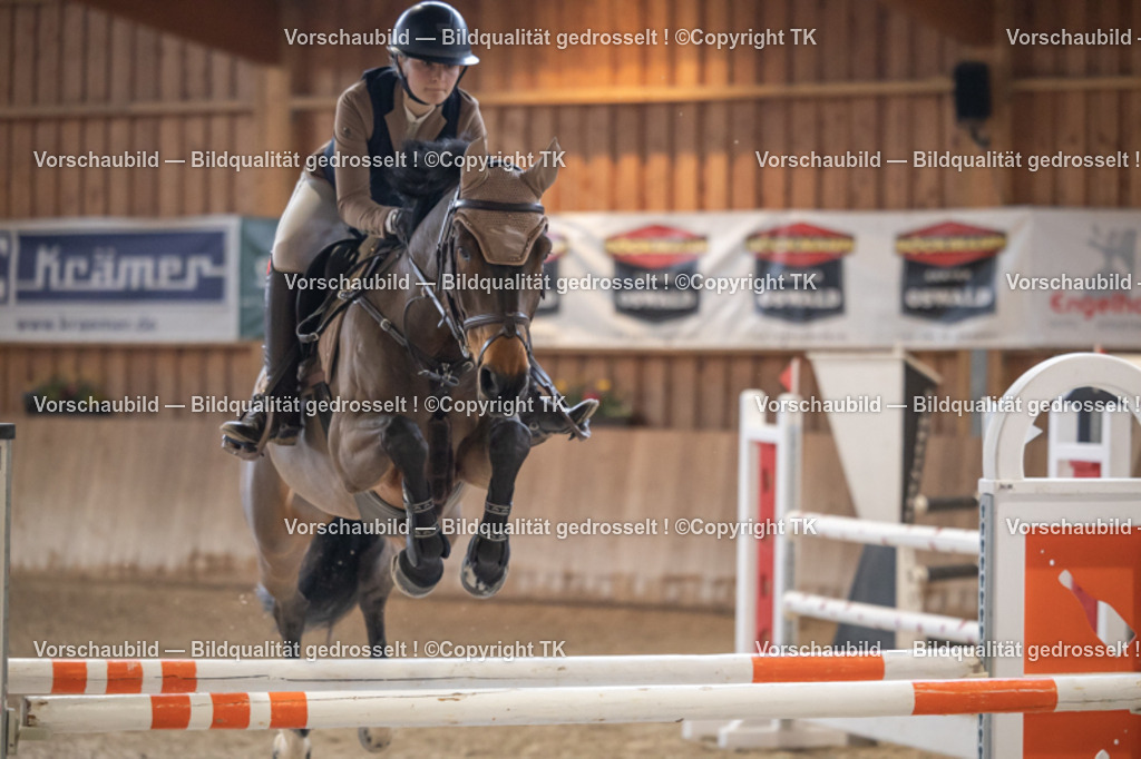 _D5A9520 | Emotionale Pferde- & People-Fotografie rund um Heidelberg, Leimen & Umgebung. Natürliche Fotos von Pferd, Mensch & Familie. Jetzt Termin sichern!