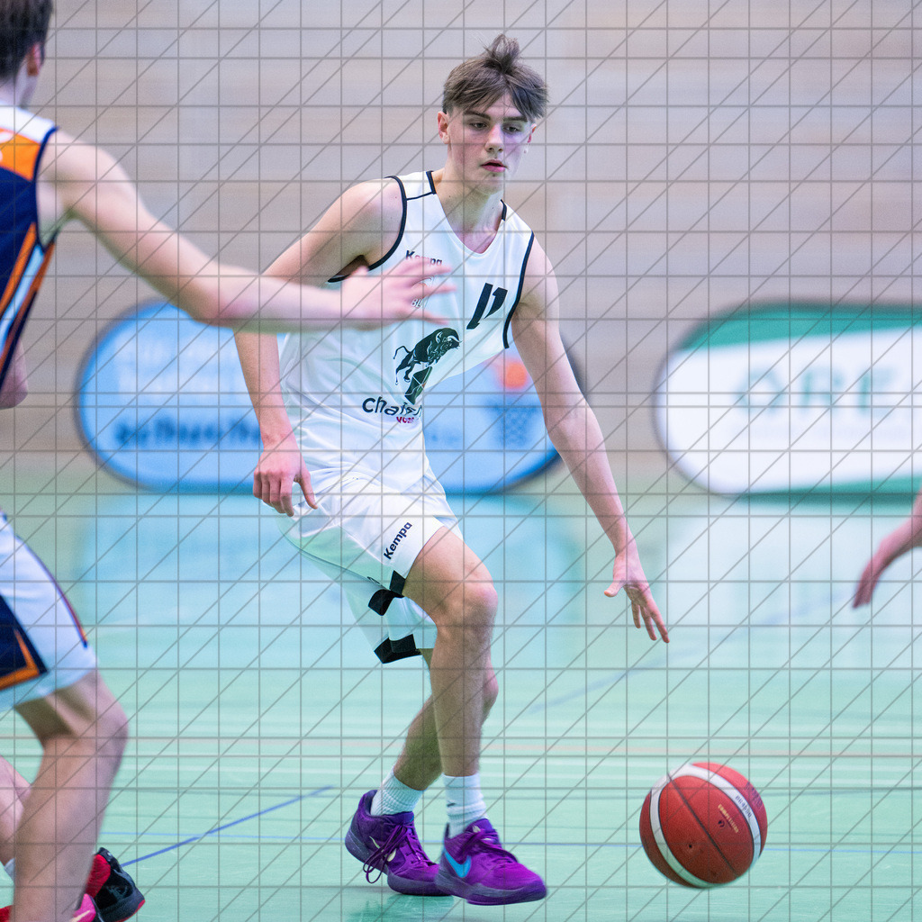 JBBL 24/25 | 19.01.2025 | Charisma Young Bulls vs. Rostock Seawolves | JBBL 24/25 | 19.01.2025 | Charisma Young Bulls vs. Rostock Seawolves - - - - - CREDIT, www.bullenfotos.de, Martin König, Hörner Weg 40, D-49078 Osnabrück, +4917663732967, Nutzung und Weitergabe nur zu den vereinbarten Zwecken. Presseanfragen an Urheber. Alle Rechte beim Urheber. - - - - - - Realisiert mit Pictrs.com