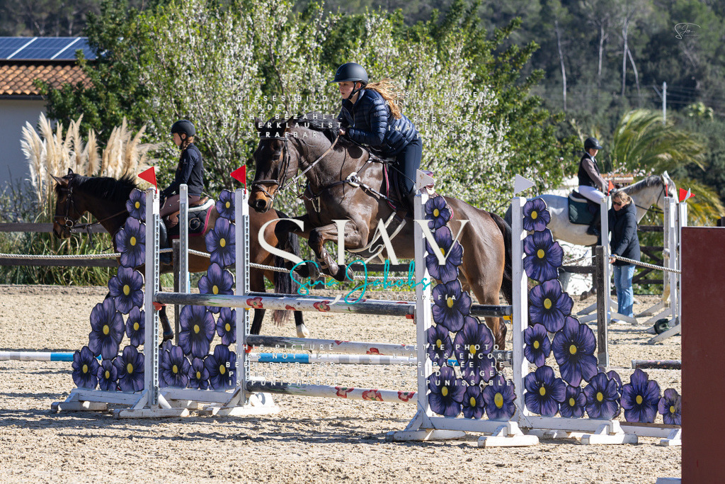 IMG_5304 | s-jay-photography - Realisiert mit Pictrs.com