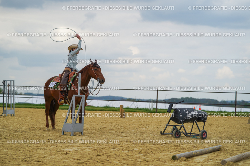 DSC06937 | Pferdegrafie