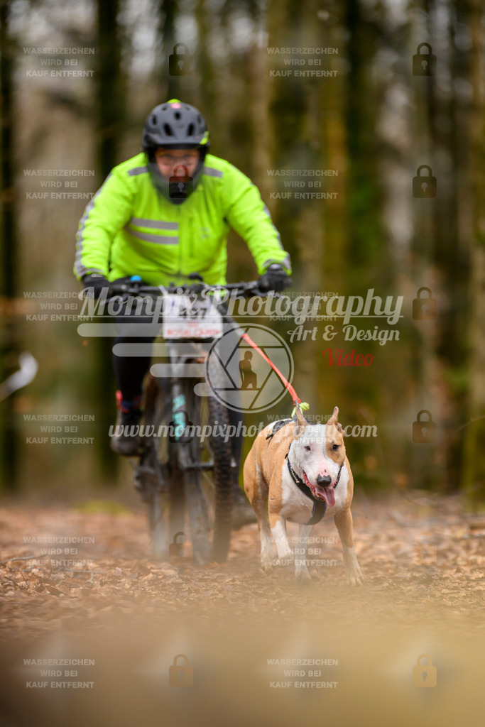 MompixPhotography_Habay2024_SA_Bike-97 | PayLife