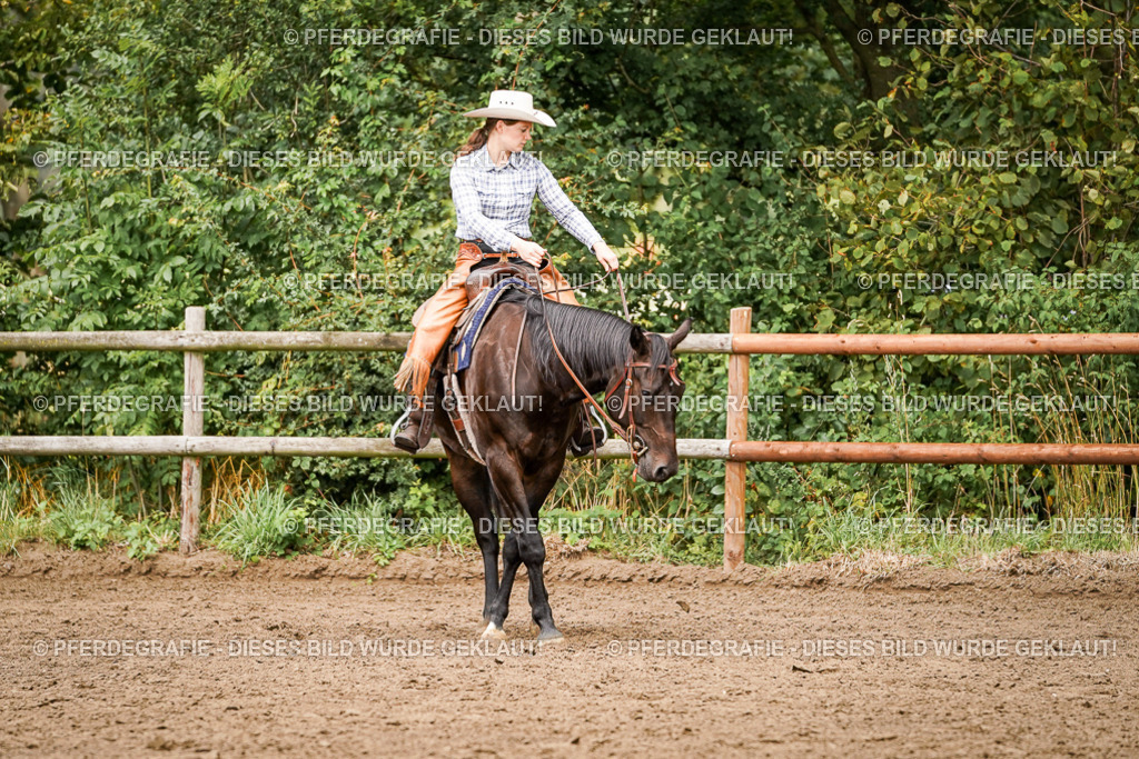 DSC08231 | Pferdegrafie