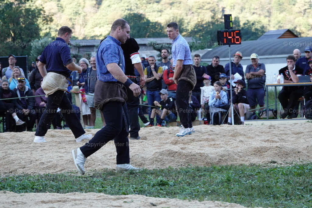 DSC01606 | Schwingen - Realisiert mit Pictrs.com