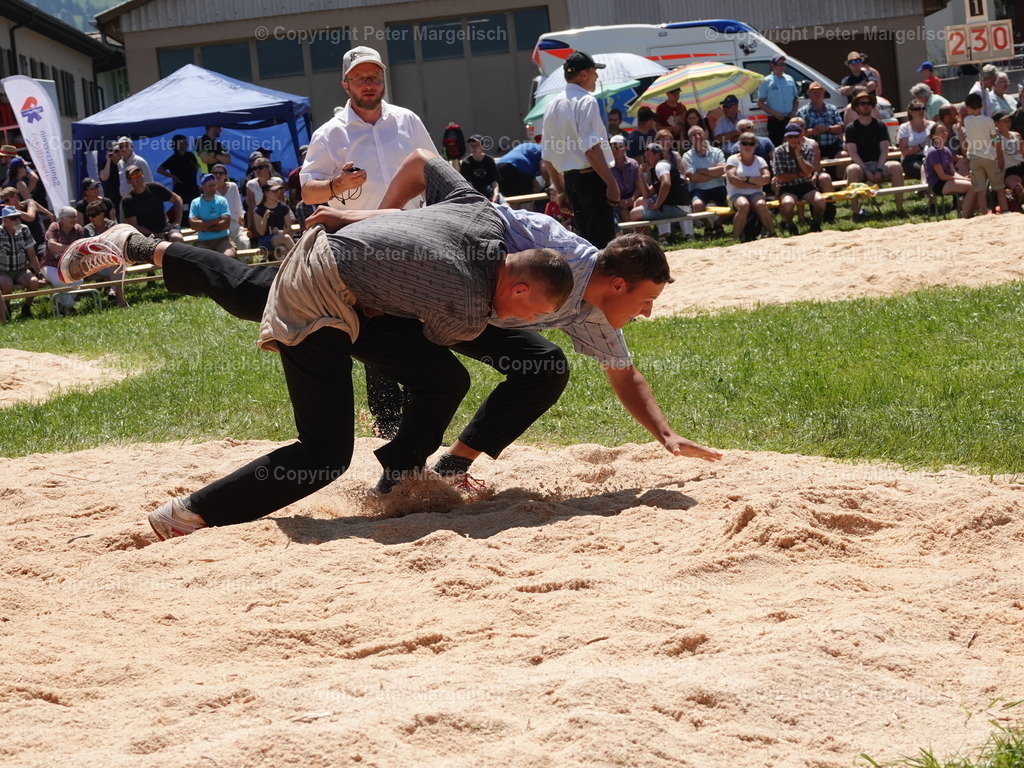 DSC04746 | Schwingen - Realisiert mit Pictrs.com